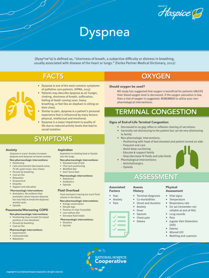 Education Station – Dyspnea front of board