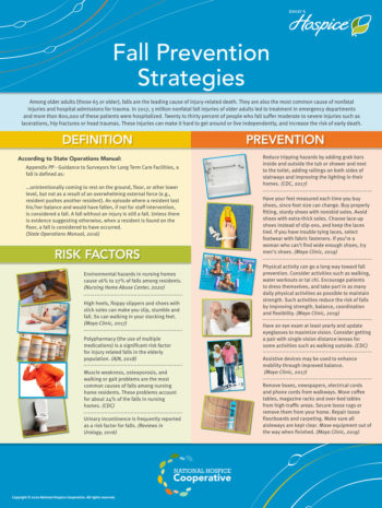 Fall Prevention Strategies